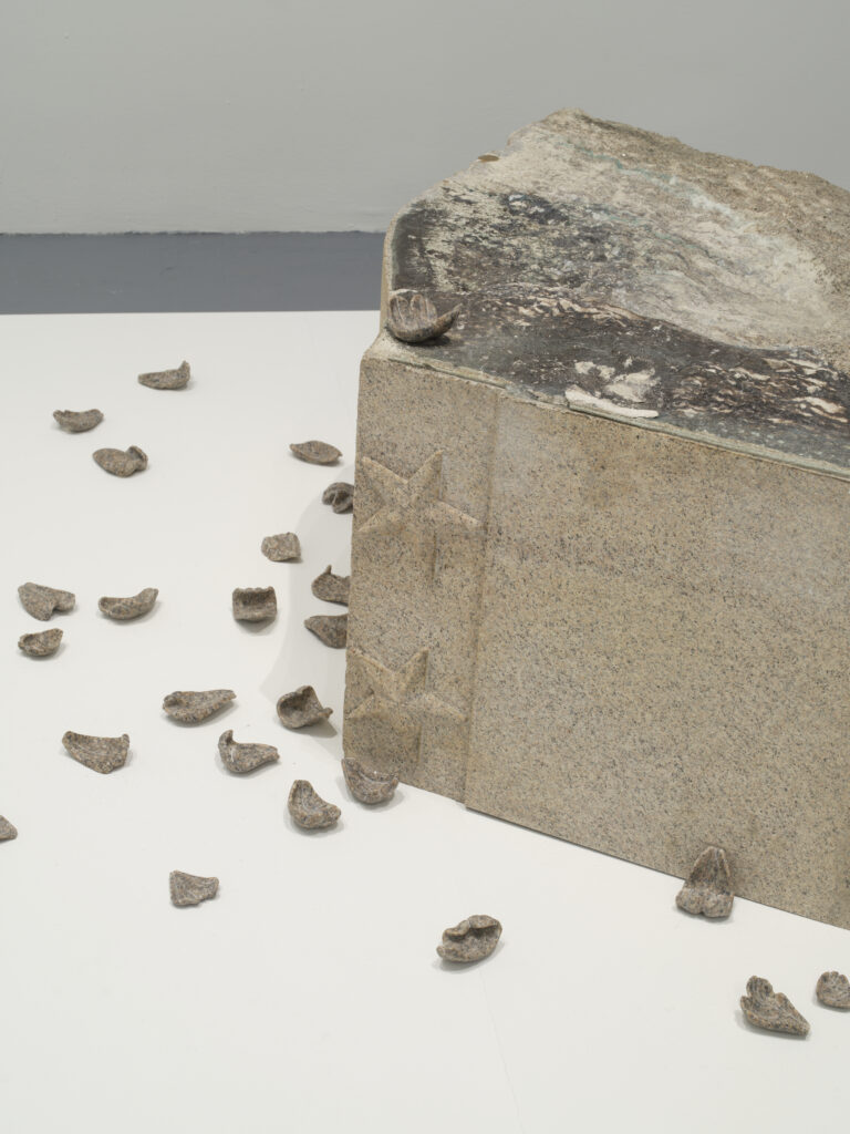 Scattered granite rose petals amidst a slab of granite with five pointed stars in relief. A single petal sits atop the granite slab.